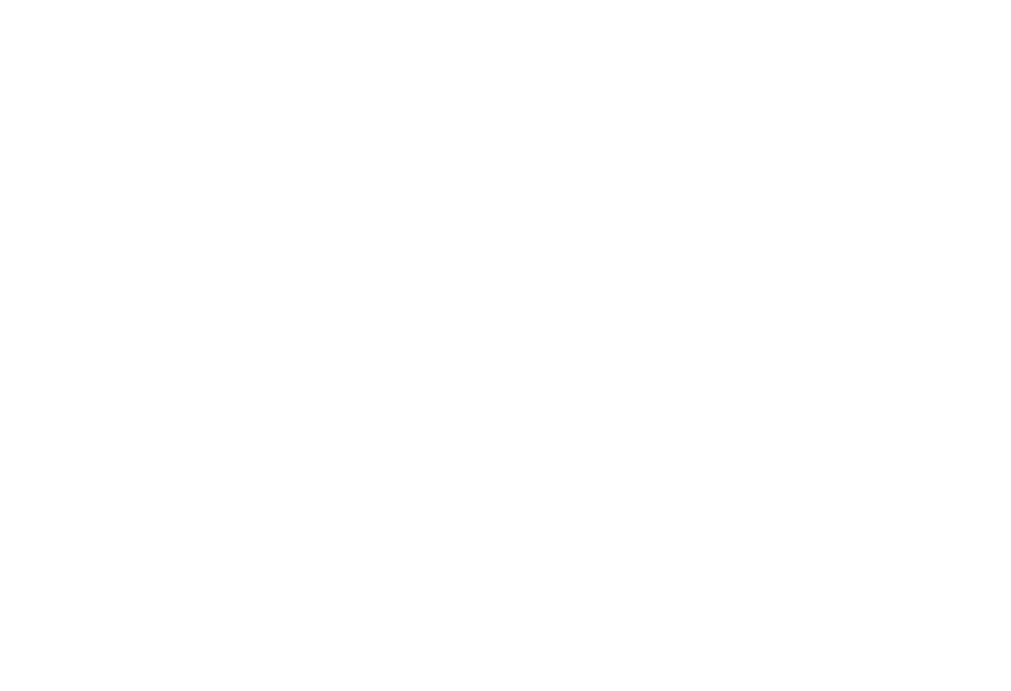 KVZ Performance